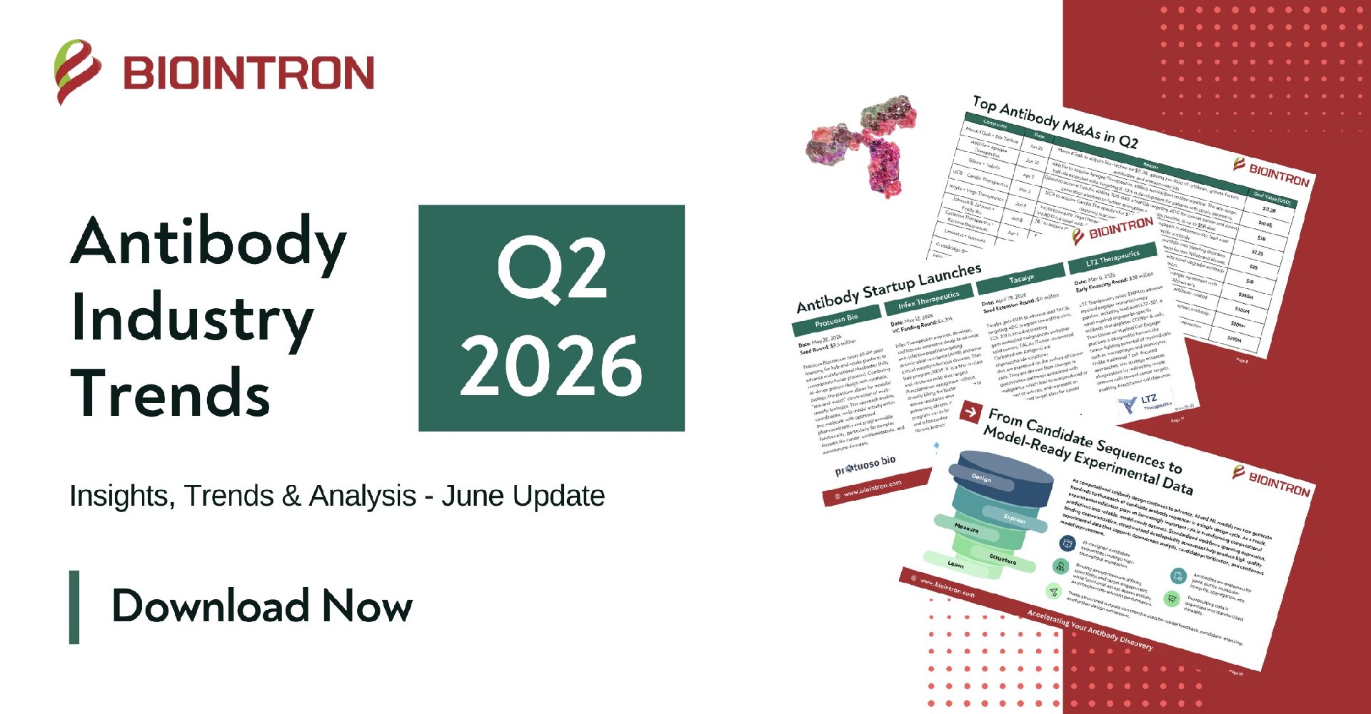 Biointron Insights: Antibody Industry Trends (Q2 2026 Insights, Trends & Analysis)
