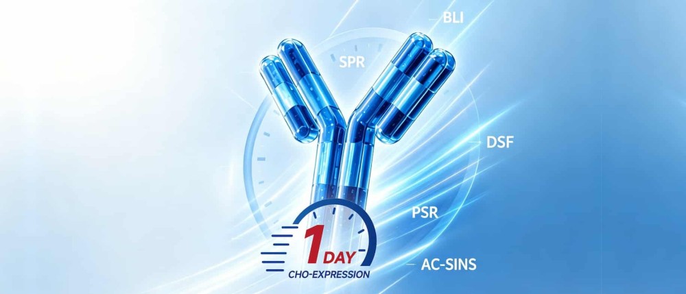 The Wet-Lab Validation Engine Behind AI-Driven Antibody Discovery